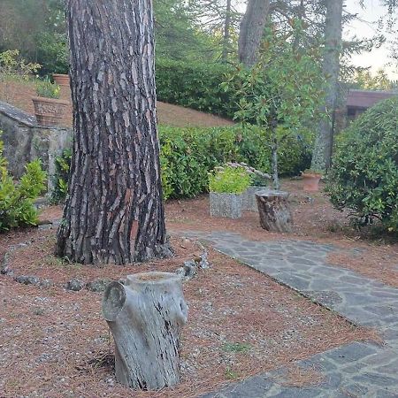 Villa Santa Margherita - La Suvera Ponte A Bozzone Extérieur photo