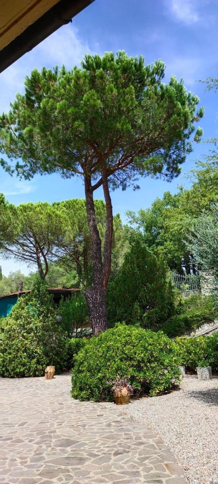Villa Santa Margherita - La Suvera Ponte A Bozzone Extérieur photo