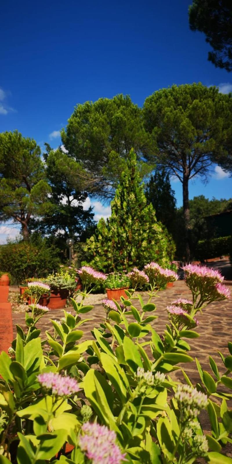 Villa Santa Margherita - La Suvera Ponte A Bozzone Extérieur photo