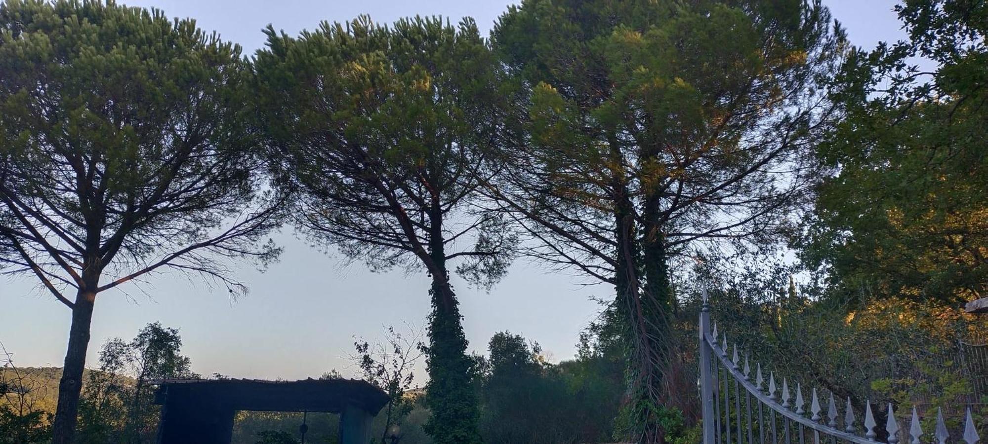 Villa Santa Margherita - La Suvera Ponte A Bozzone Extérieur photo
